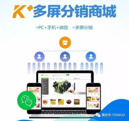 2017年電子商務(wù)平臺服務(wù) 那些牛氣沖天的任性革新