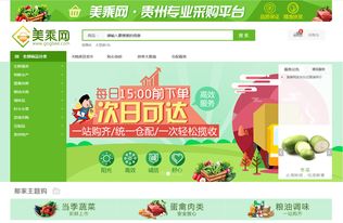 貴州電子商務(wù)云 立體助力“黔貨出山”e路前行