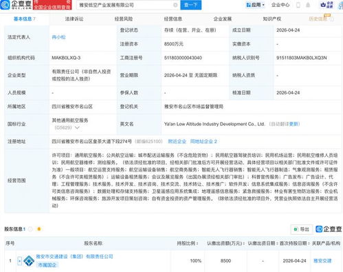 雅安低空產業發展公司成立 布局航空、衛星與信息系統集成新賽道